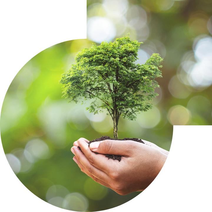 关怀人类、文化、环境与社会